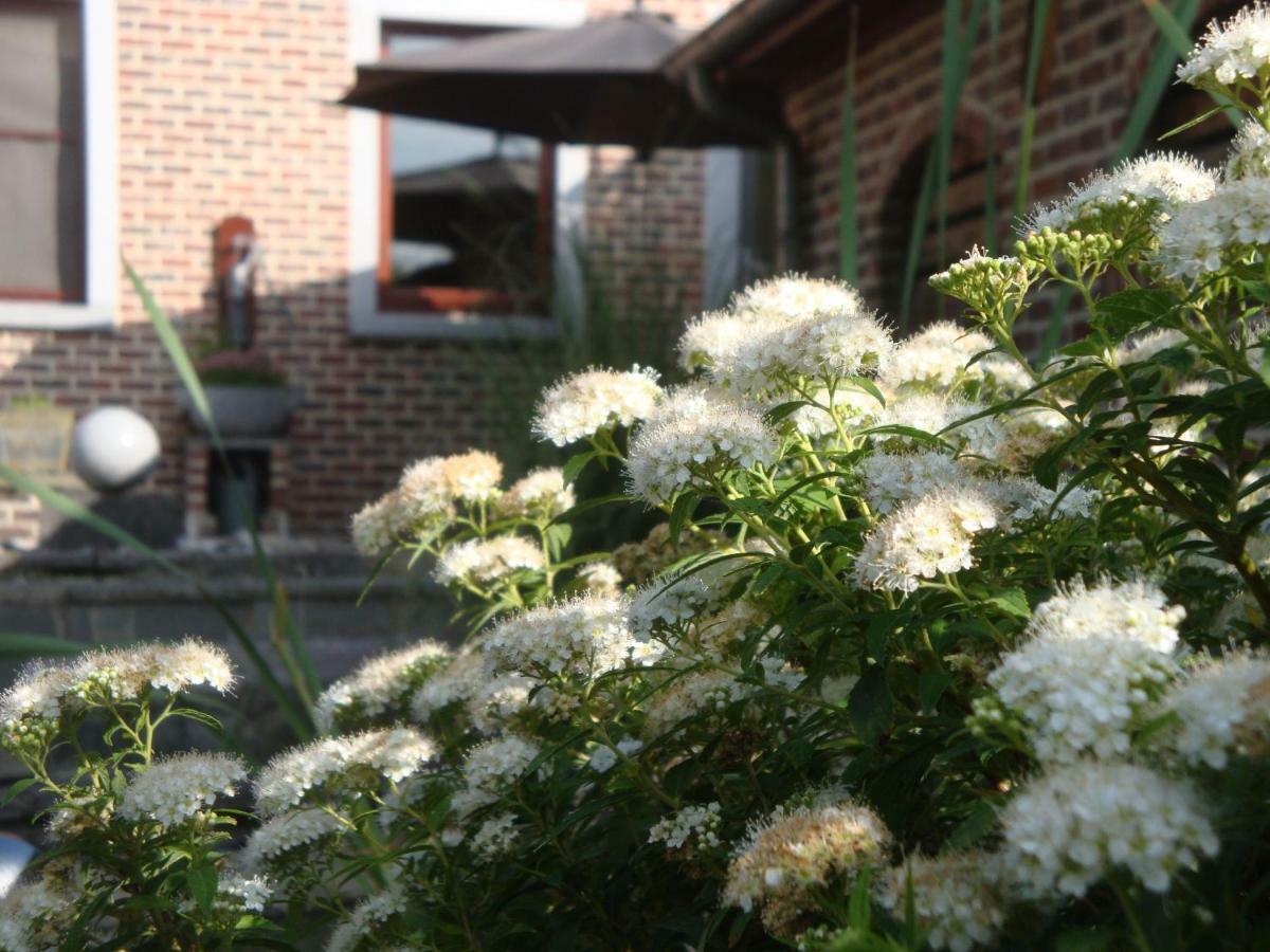 Vakantiewoning Salix Herne Extérieur photo
